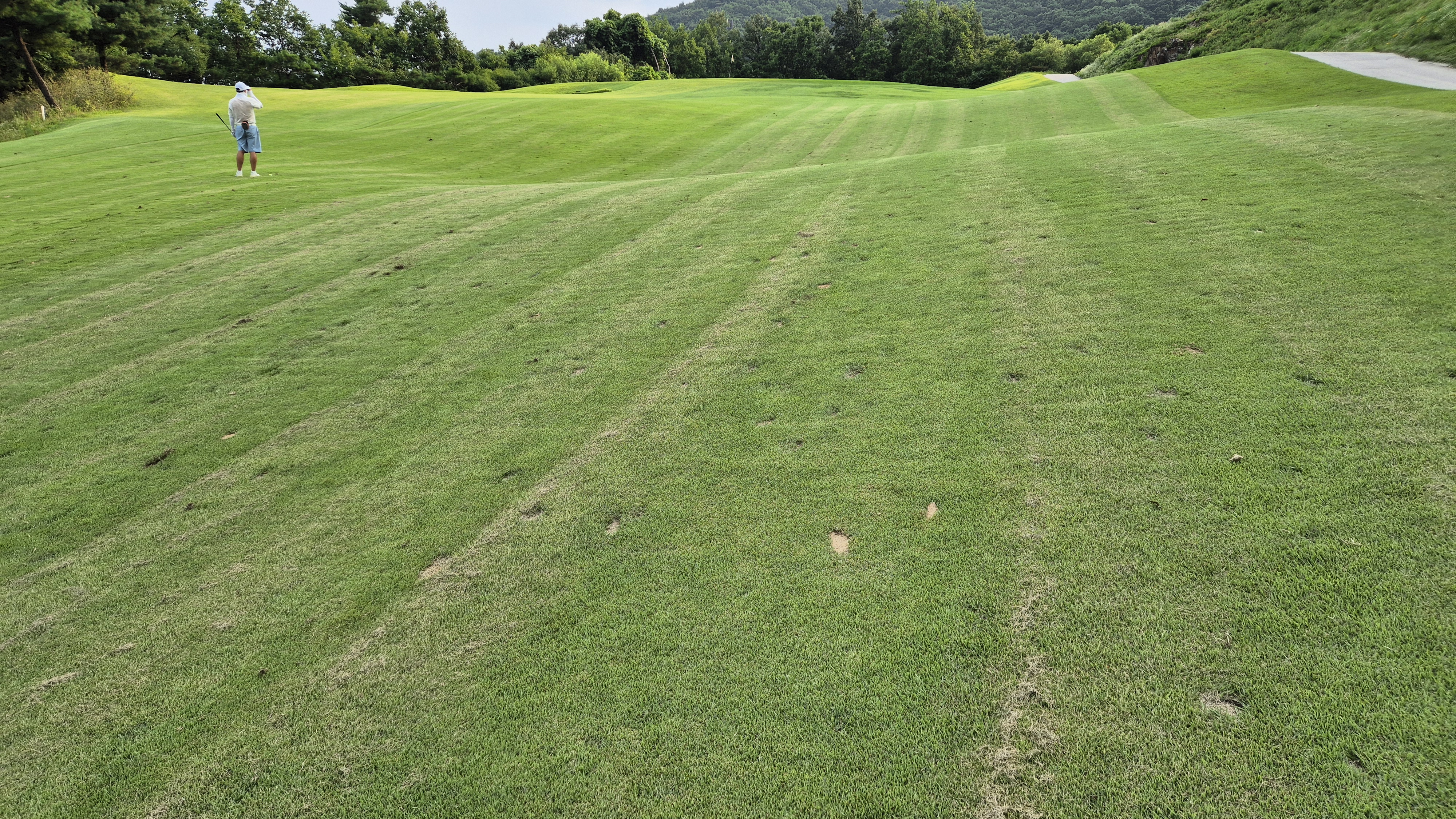 참밸리cc 라운드 후기