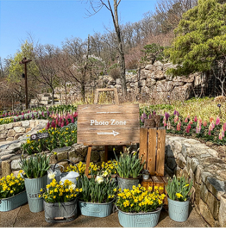 화담숲 예약 모노레일