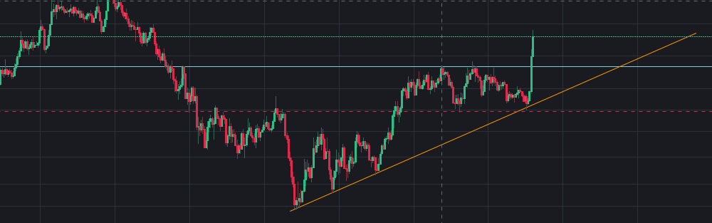추세 지지 추세 지지