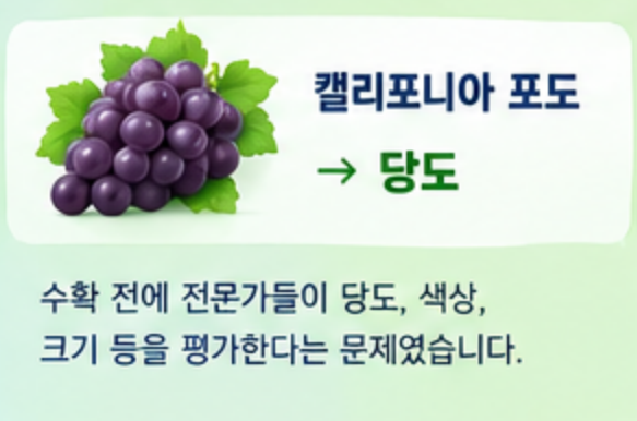 9월 16일 캐시워크 퀴즈정답 완벽정리!!