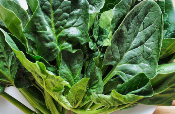 비타민 A 의 종류와 종류별 효능(역할) 그리고 부족시 증상과 과잉시 부작용