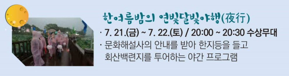 무안연꽃축제