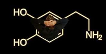 여성 호르몬 화학구조