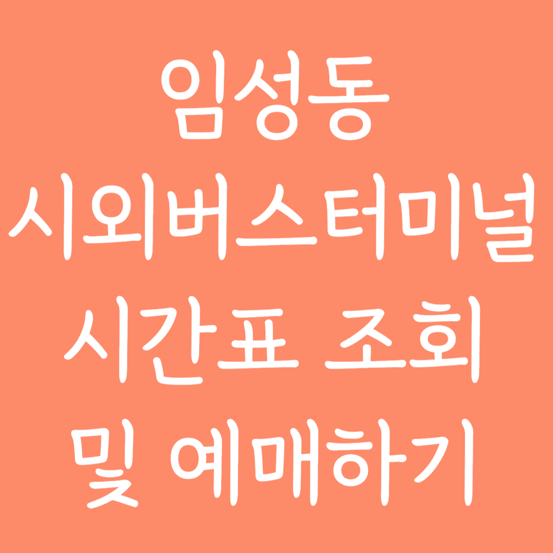 임성동 시외버스터미널 시간표조회 및 예매하기