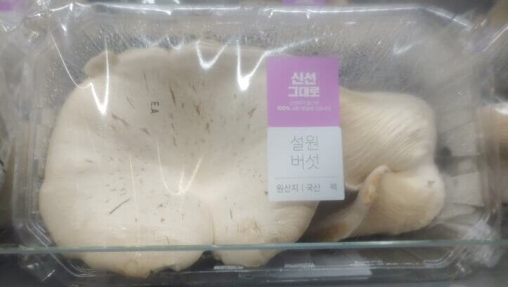 설원버섯
