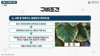 파종 도구 선택 파종기 호미 삽 흙손 사용 팁_38