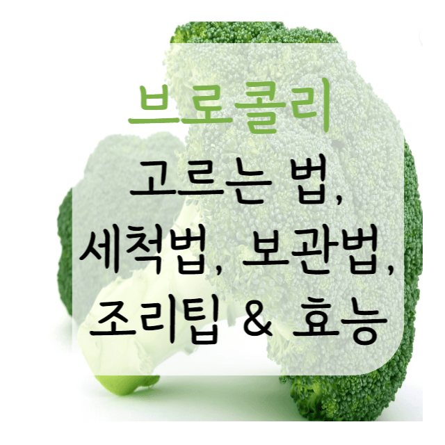 브로콜리-세척법-보관법-고르는법-조리법-효능-안내-포스터