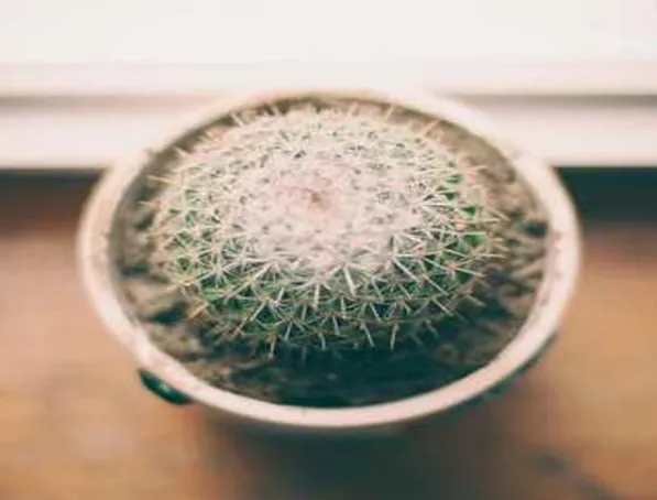 아이티엠반도체