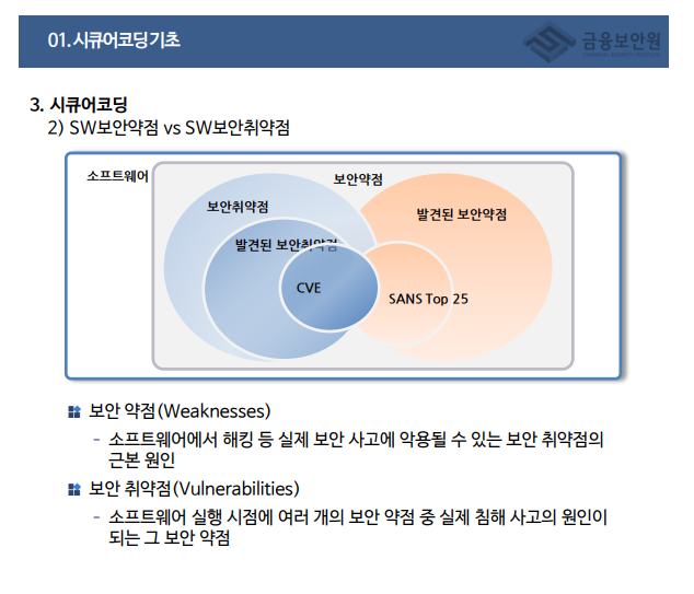 보안약점과 보안취약점
