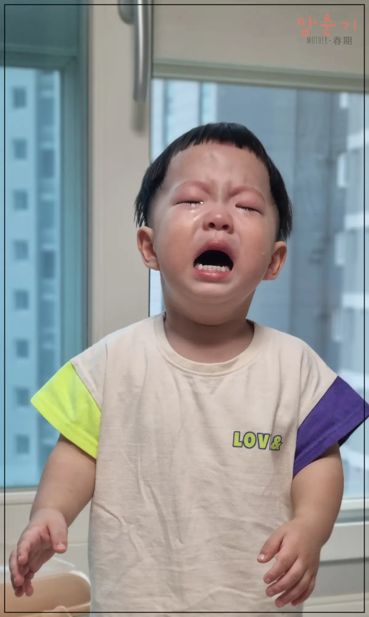 재접근기-아기울음-떼부림-20개월아이