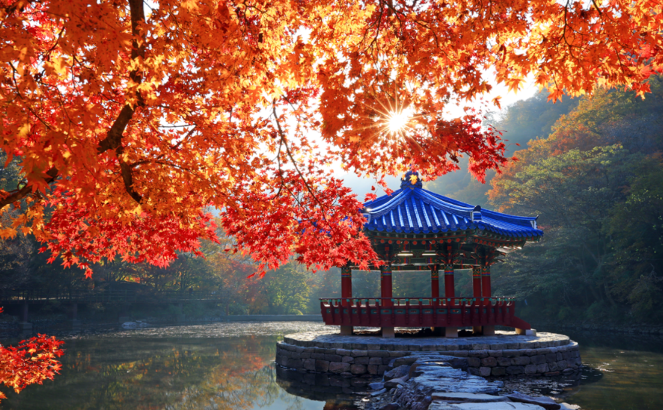 내장산 국립공원