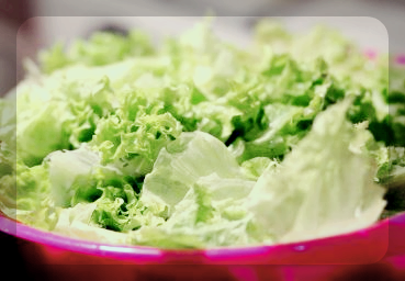 소쿠리에 담긴 상추