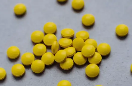 포시가정-생김새