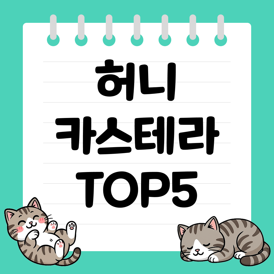 촉촉한 달콤한 간식 허니카스테라 추천 순위 TOP5