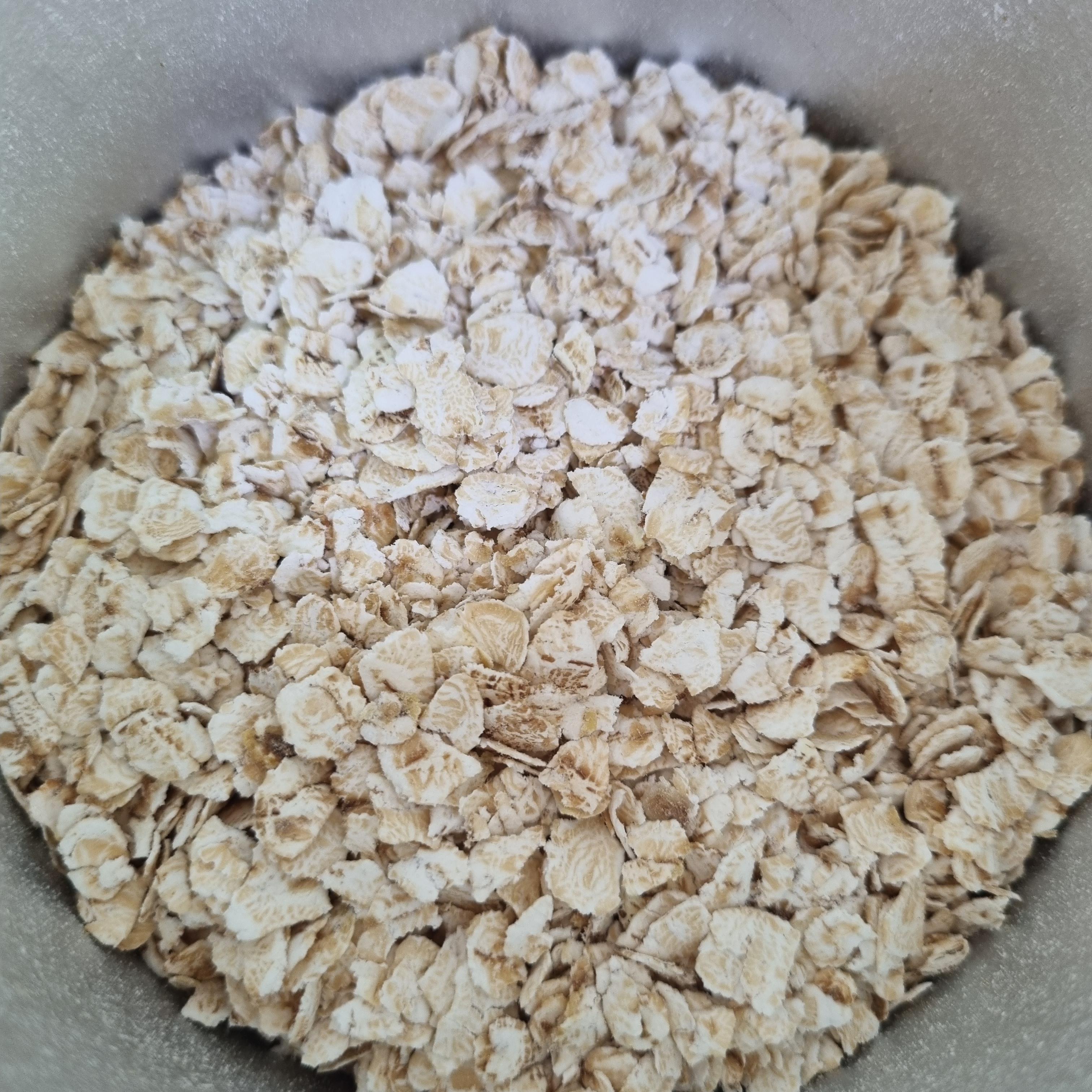 초기이유식-오트밀