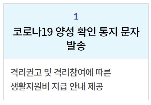 코로나19 생활지원비