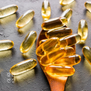 파비플로라 복용법