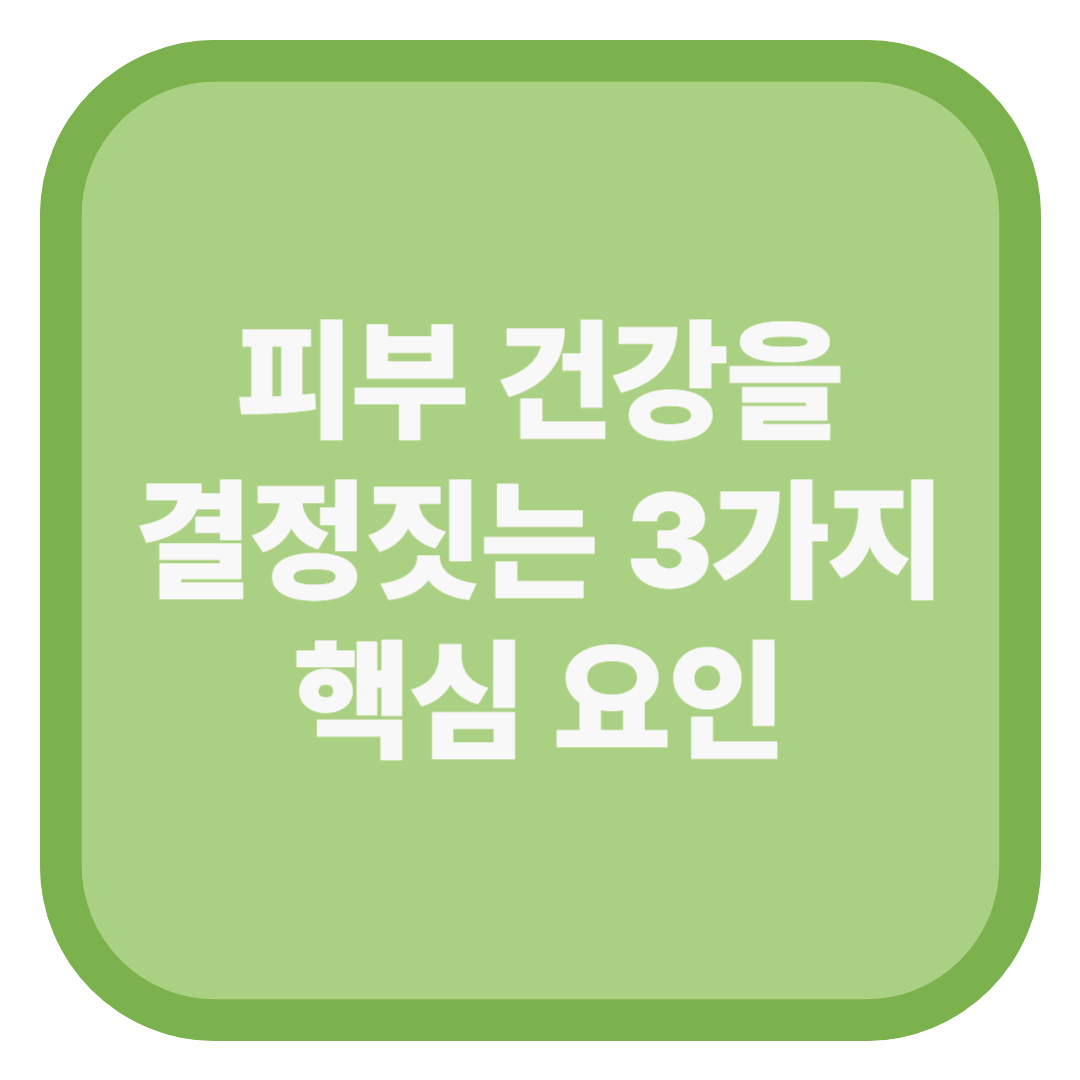 피부 건강을 결정짓는 3가지 핵심 요인