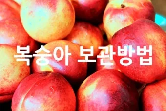 복숭아 보관방법과 싱싱하게 유지하는 팁_10