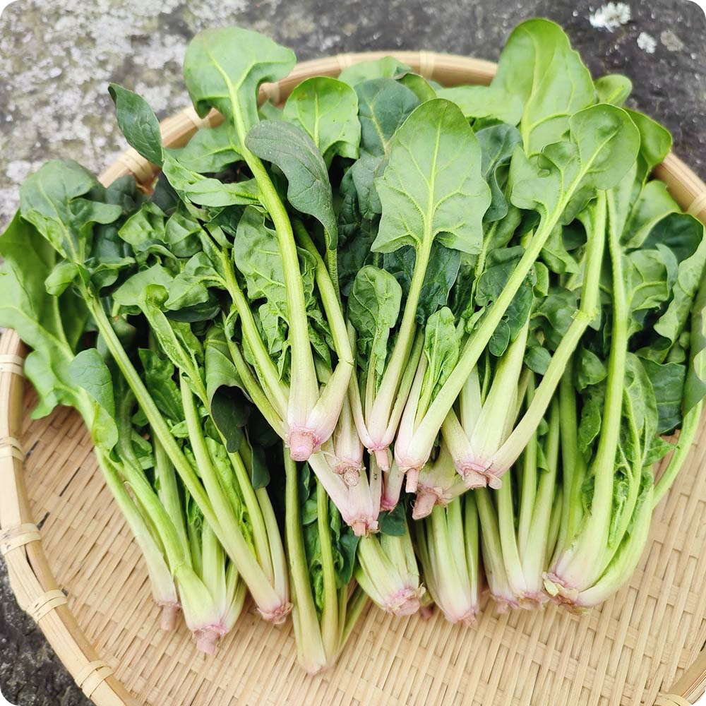 간에-좋은-음식