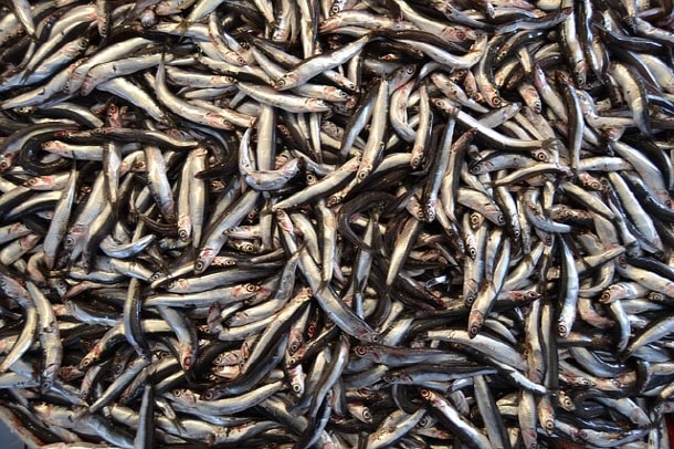 HDL콜레스테롤 높이는방법