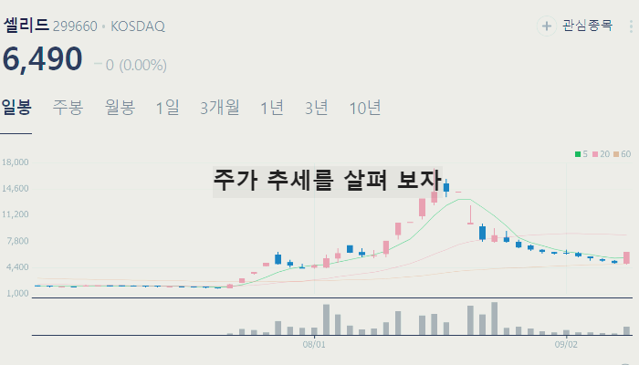 제약바이오 관련주 대장주 테마주 TOP7