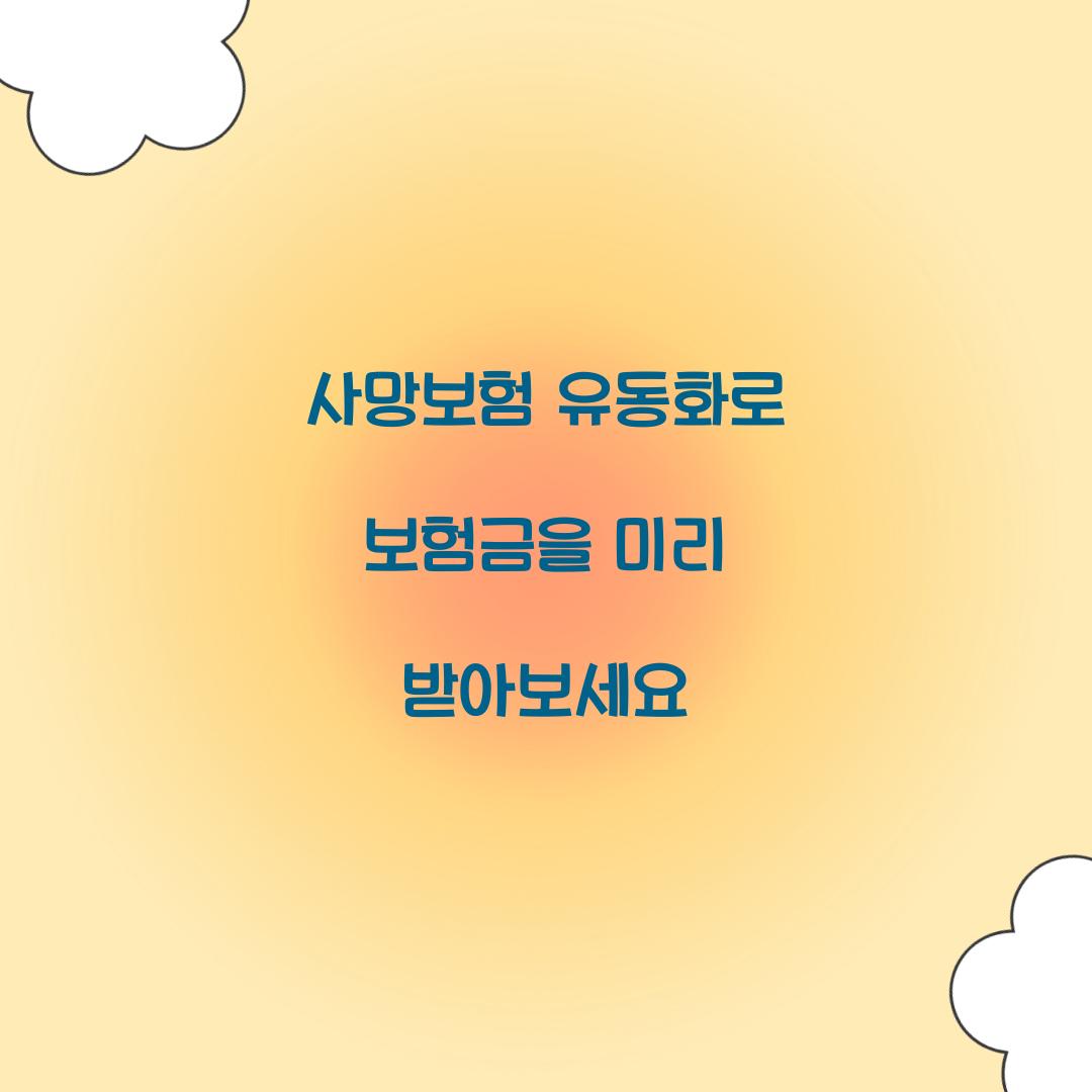 사망보험 유동화