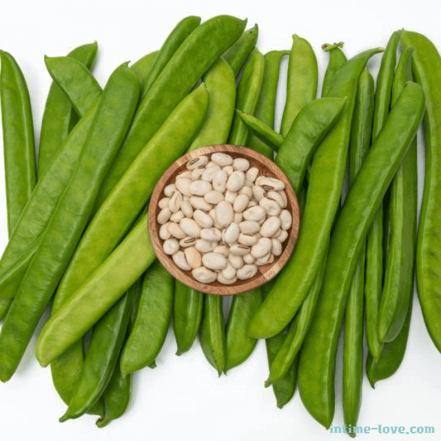 비염에 좋은 작두콩