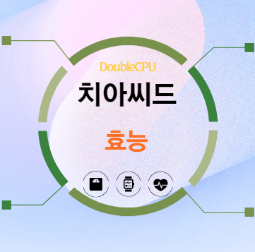 치아씨드 효능 탐구