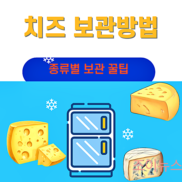 치즈 보관방법: 종류별 보관 꿀팁