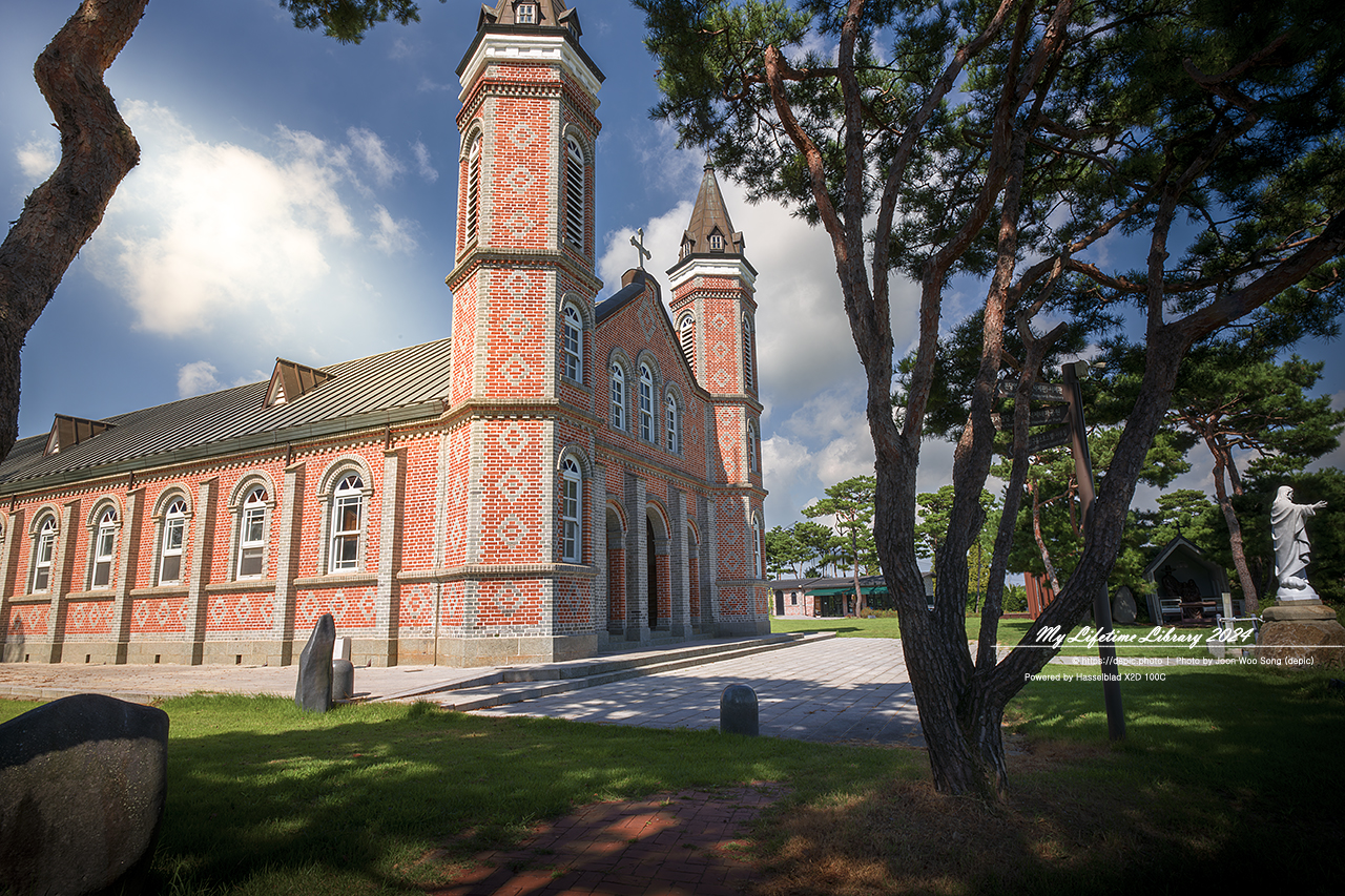 당진 합덕성당 가톨릭 성당