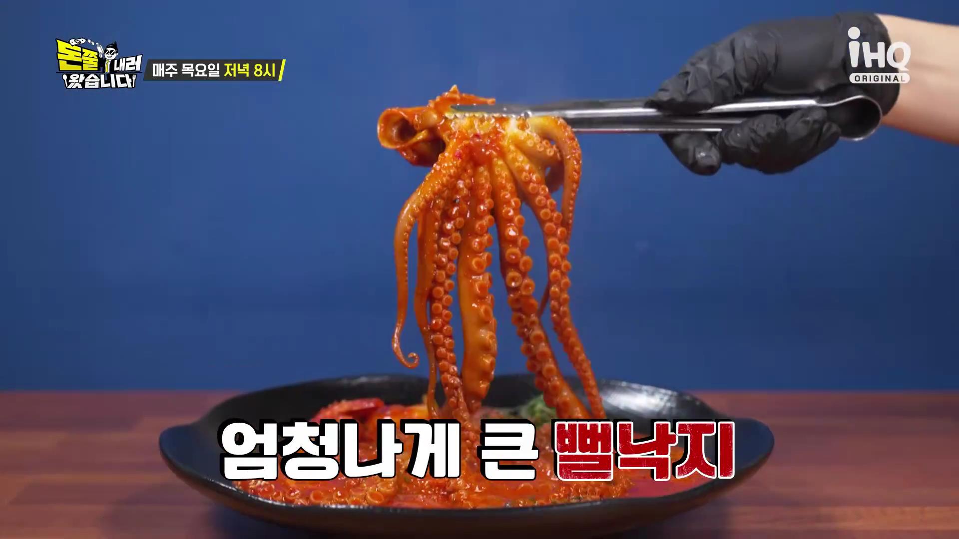 돈쭐내러왔습니다 오늘방송 목포 뻘낙지 낙지 볶음 맛집
