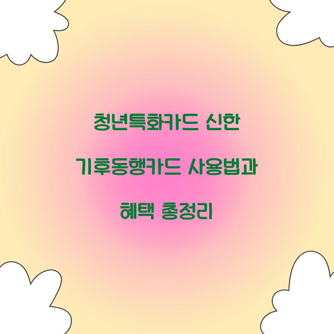 청년특화카드 신한 기후동행카드