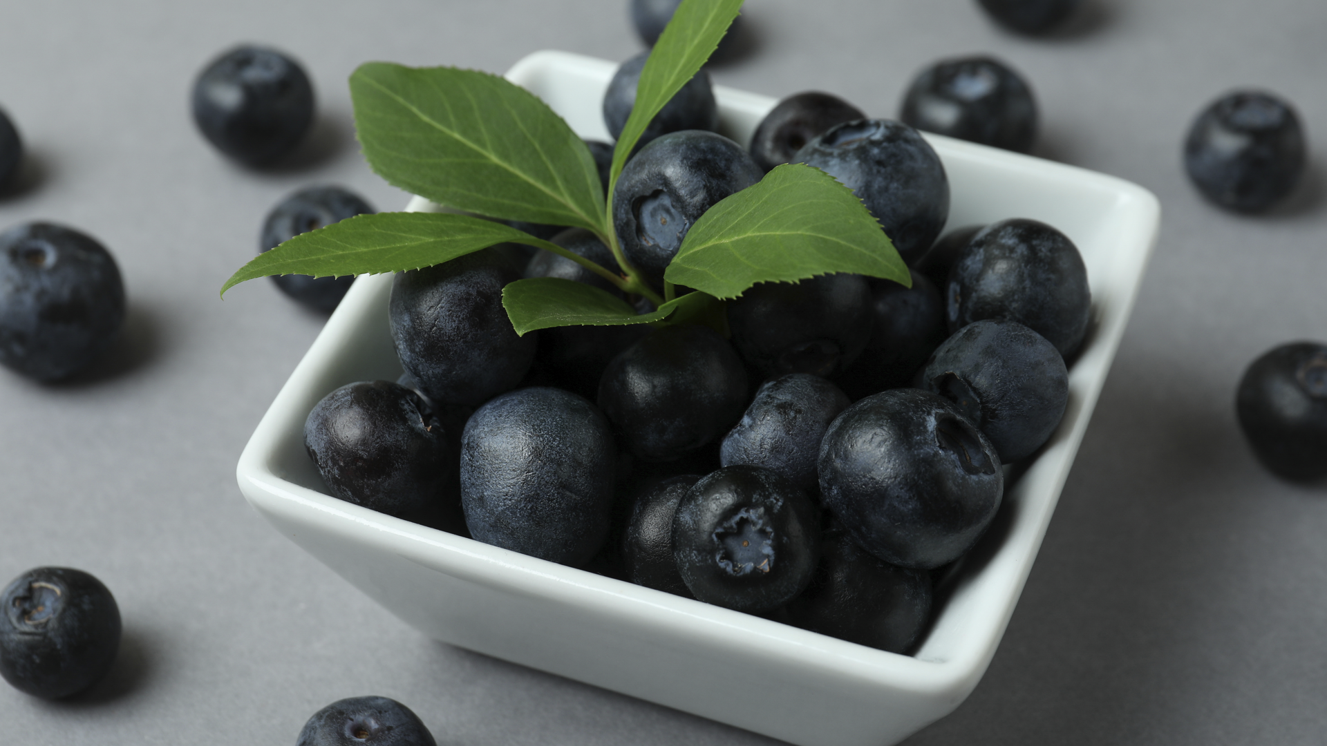 생 블루베리의 특징과 효능