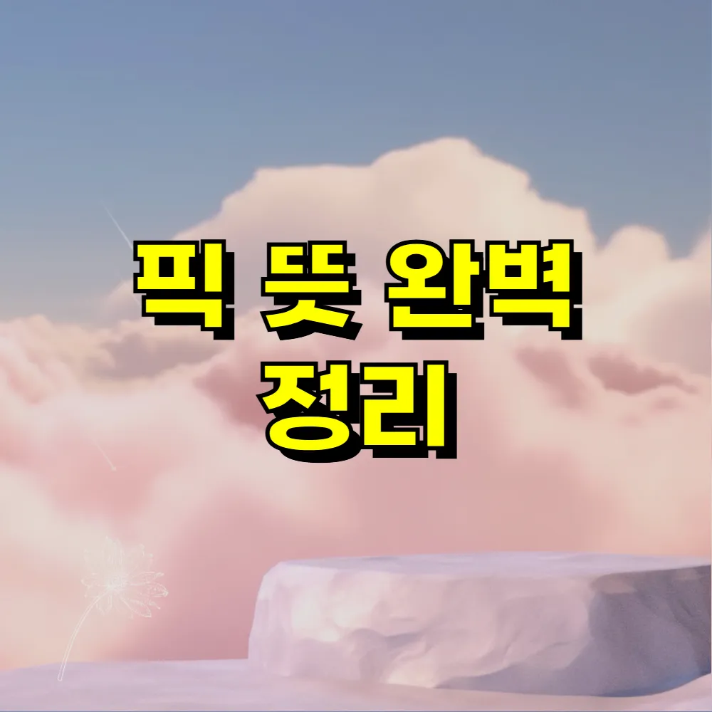 픽 뜻 완벽 정리