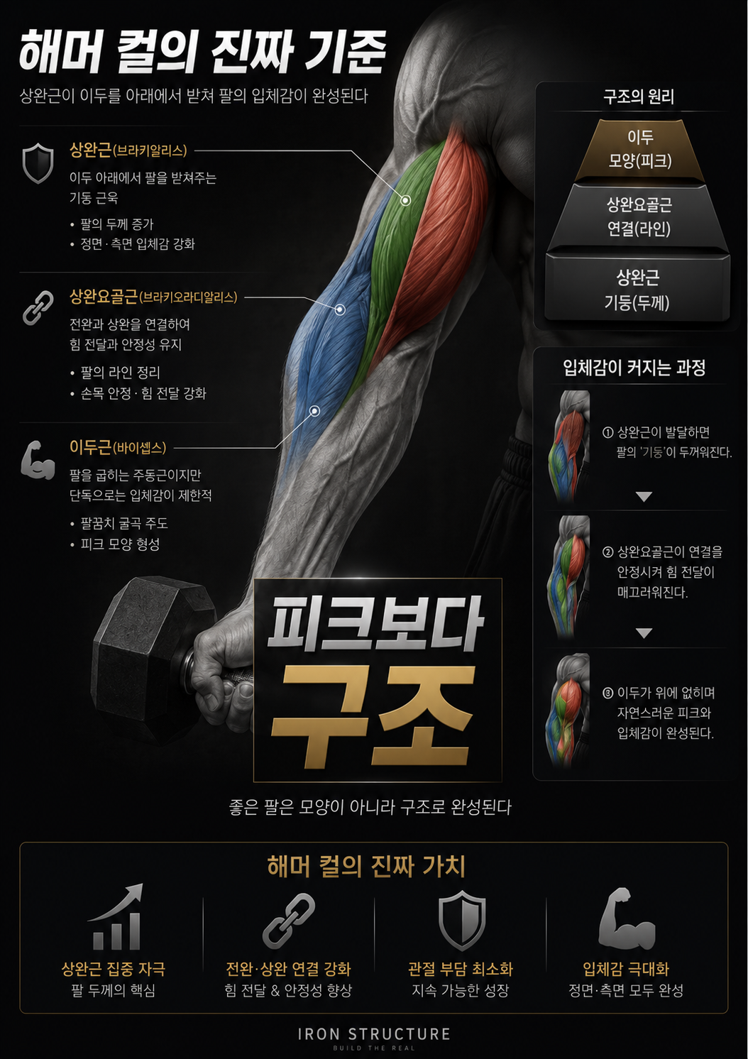 해머 컬의 진짜 기준