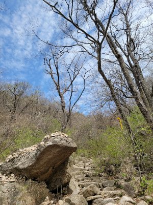 속리산 두꺼비바위