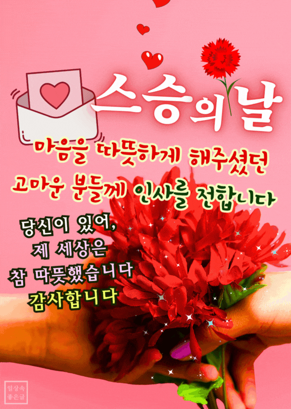 손에 붉은 카네이션을 든 따뜻한 스승의 날 감사 인사 이미지
