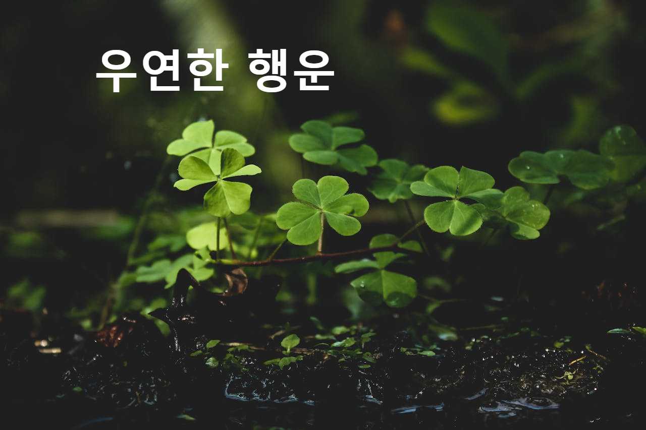 우연한 행운