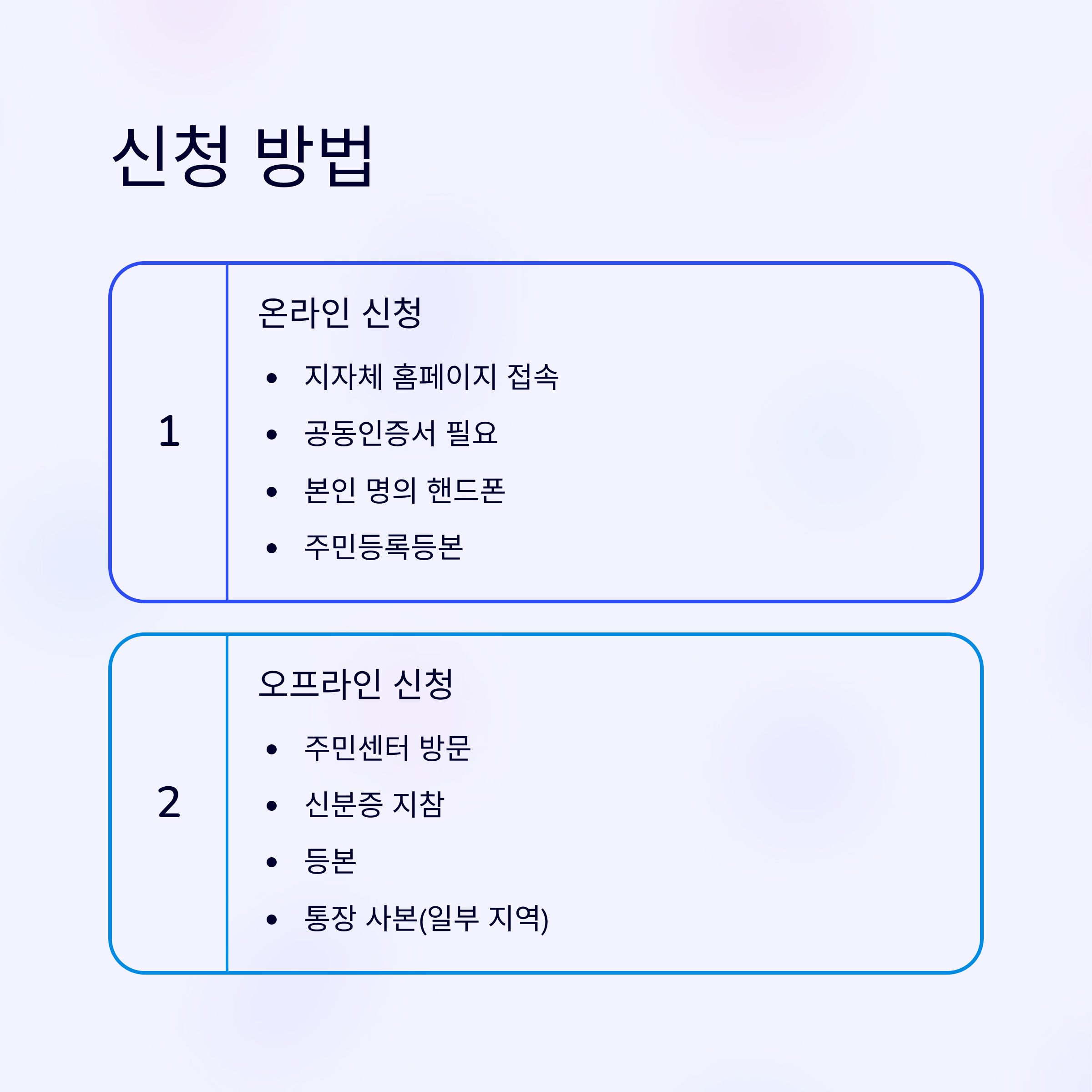 2025 민생지원금