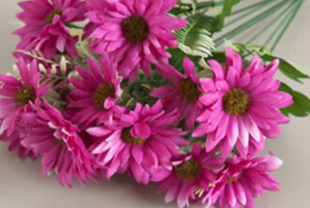 꽃 선물할 때 좋은 문구