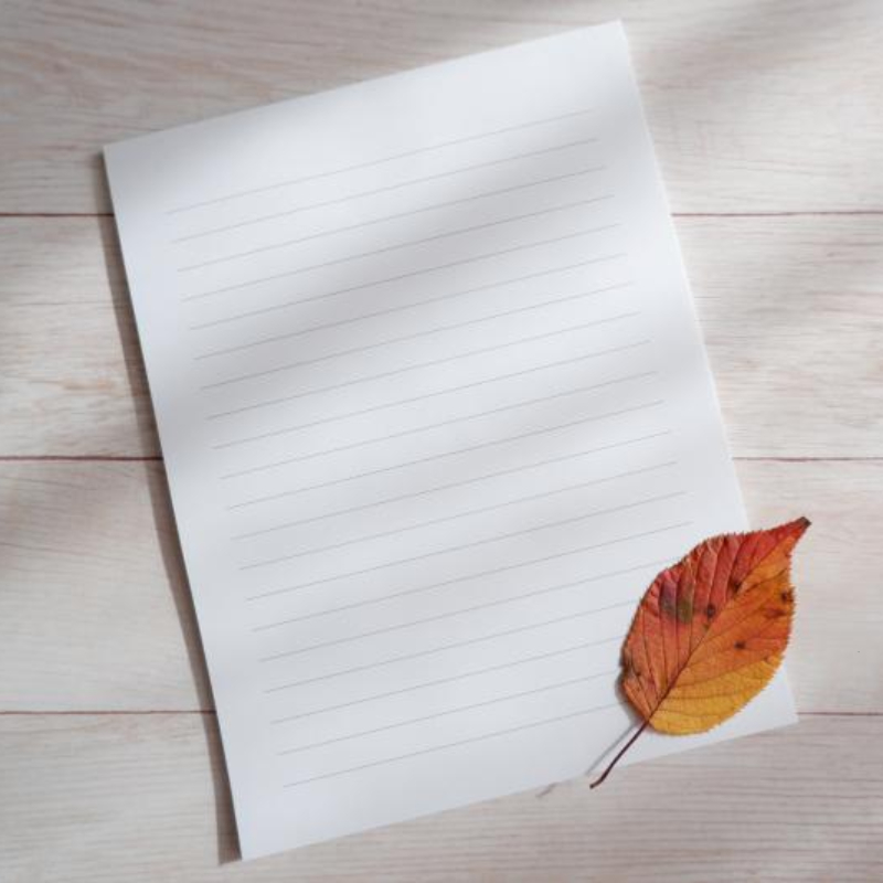 희랍어 시간 줄거리 : 노벨상 수상자 한강 작품 (고통과 치유에 대한 철학적 사유)