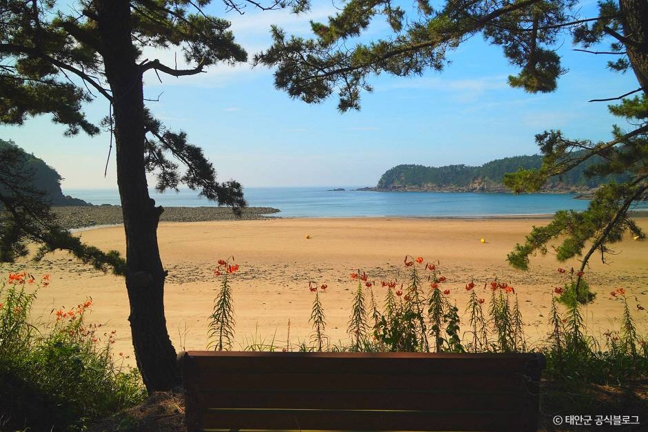 태안 구름포해수욕장