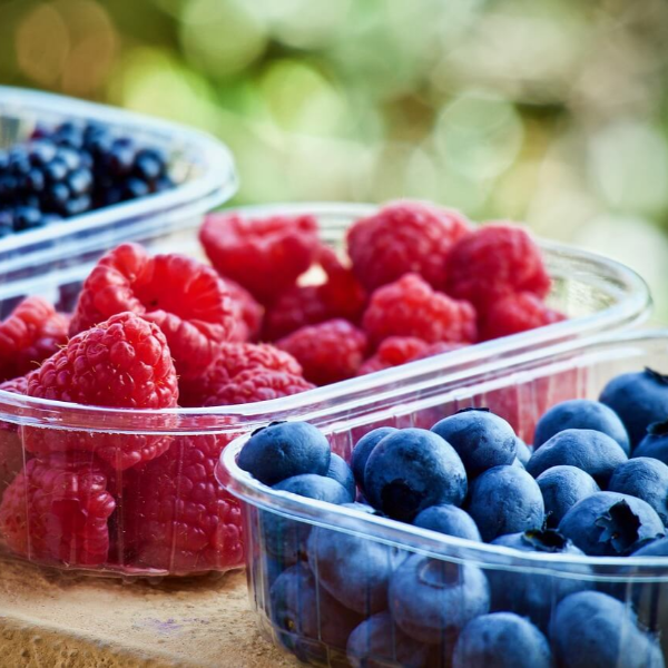 비타민c 효능 사진 13