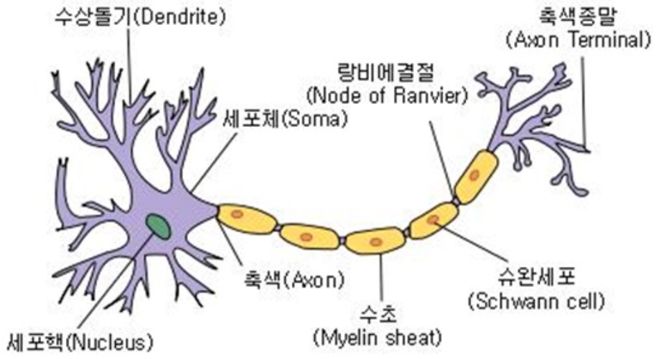 샤르코마리투스