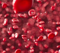 혈액순환 장애 증상 대처법