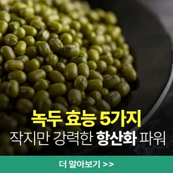 녹두 효능 부작용 녹두죽 끓이는법 칼로리 안내_11