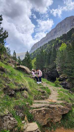 피레네의 품에서 휴식 중인 쌍둥이딸