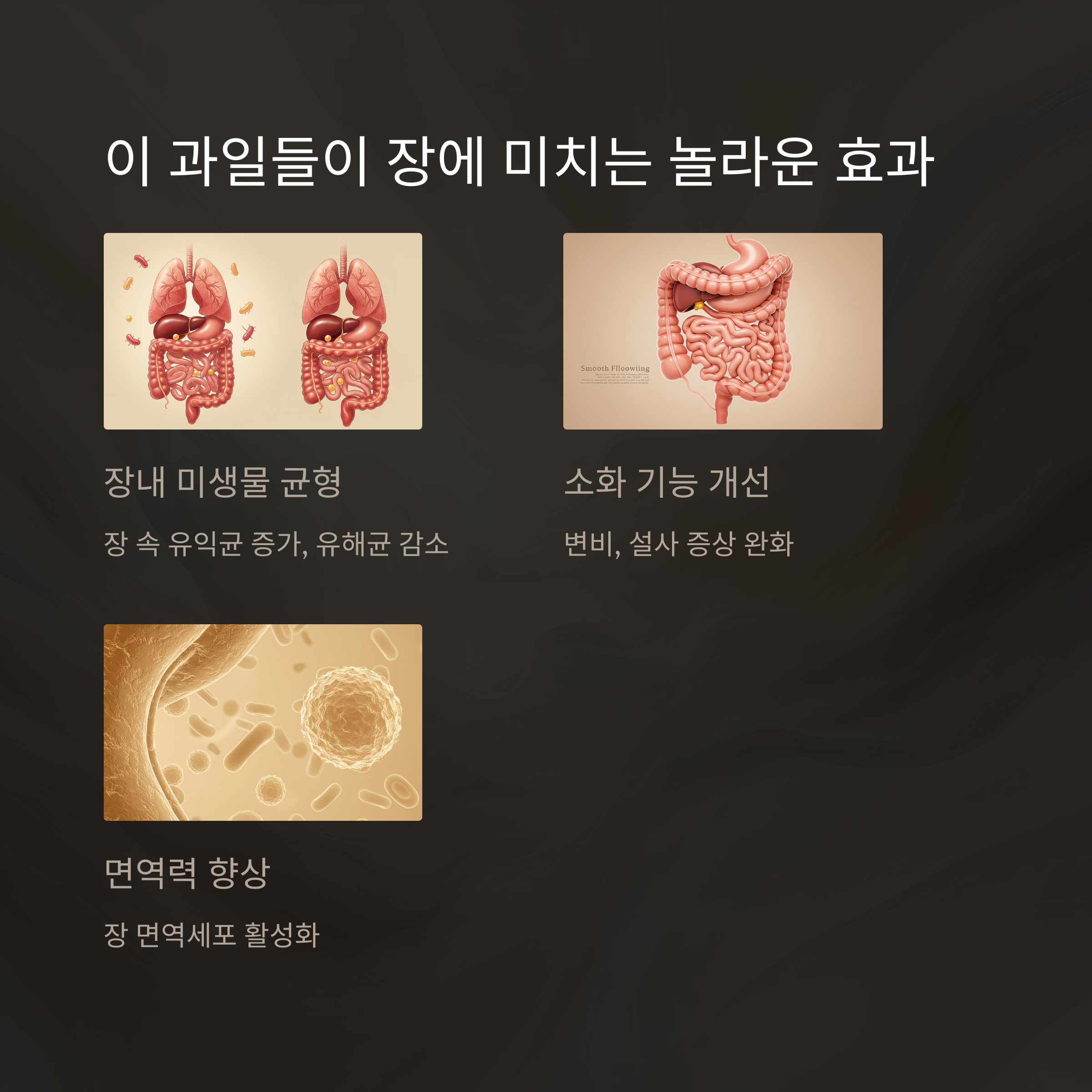 장이 건강해야 몸이 가볍다