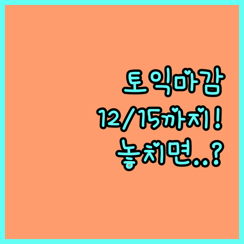 토익 12월 정기 접수 마감일 12월..